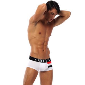 ORLVS foreign trade underwear cotton men comfortable breathable buttocks four-corner pants men's factory supply OR06